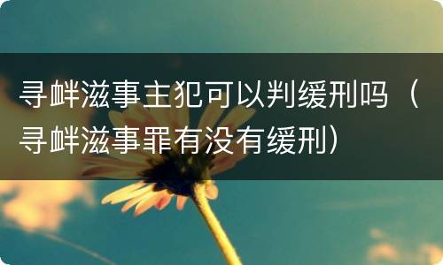 寻衅滋事主犯可以判缓刑吗（寻衅滋事罪有没有缓刑）
