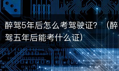 醉驾5年后怎么考驾驶证？（醉驾五年后能考什么证）