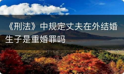 《刑法》中规定丈夫在外结婚生子是重婚罪吗