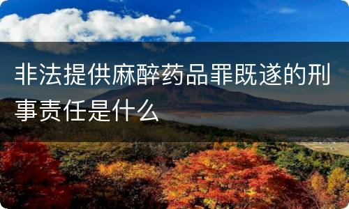 非法提供麻醉药品罪既遂的刑事责任是什么