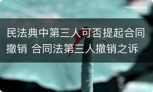 民法典中第三人可否提起合同撤销 合同法第三人撤销之诉