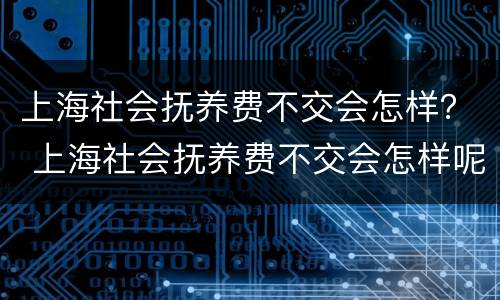 上海社会抚养费不交会怎样？ 上海社会抚养费不交会怎样呢