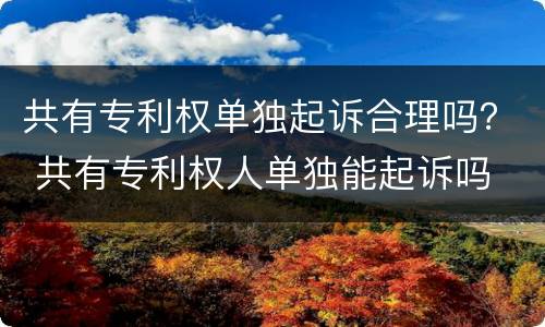 共有专利权单独起诉合理吗？ 共有专利权人单独能起诉吗