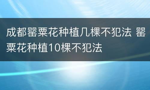成都罂粟花种植几棵不犯法 罂粟花种植10棵不犯法