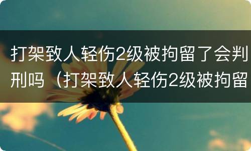 打架致人轻伤2级被拘留了会判刑吗（打架致人轻伤2级被拘留了会判刑吗判多少年）
