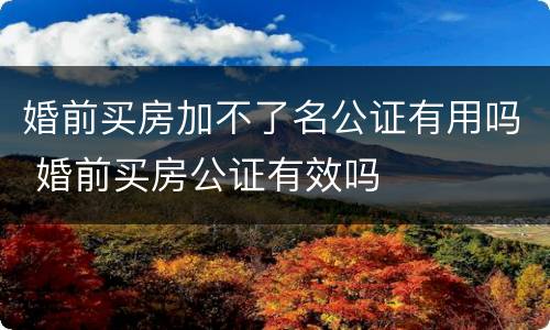 婚前买房加不了名公证有用吗 婚前买房公证有效吗