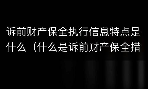 诉前财产保全执行信息特点是什么（什么是诉前财产保全措施）