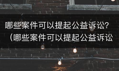 哪些案件可以提起公益诉讼？（哪些案件可以提起公益诉讼）