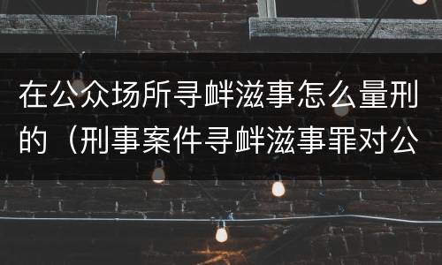 在公众场所寻衅滋事怎么量刑的（刑事案件寻衅滋事罪对公共场所的认定）