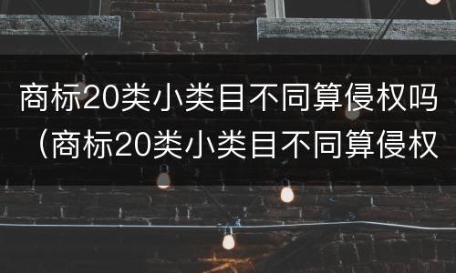 商标20类小类目不同算侵权吗（商标20类小类目不同算侵权吗）