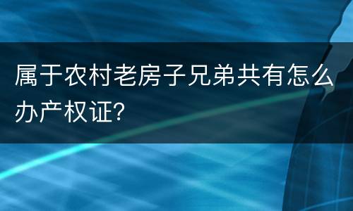 属于农村老房子兄弟共有怎么办产权证？