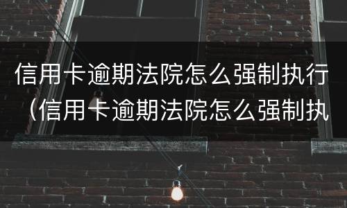 信用卡逾期法院怎么强制执行（信用卡逾期法院怎么强制执行呢）