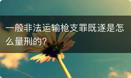 一般非法运输枪支罪既遂是怎么量刑的?