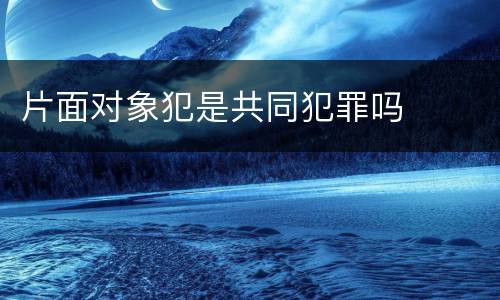 片面对象犯是共同犯罪吗