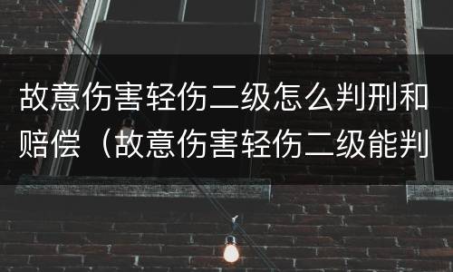 故意伤害轻伤二级怎么判刑和赔偿（故意伤害轻伤二级能判多久能赔偿多少?）