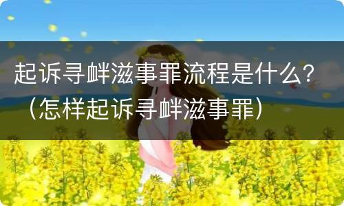 起诉寻衅滋事罪流程是什么？（怎样起诉寻衅滋事罪）