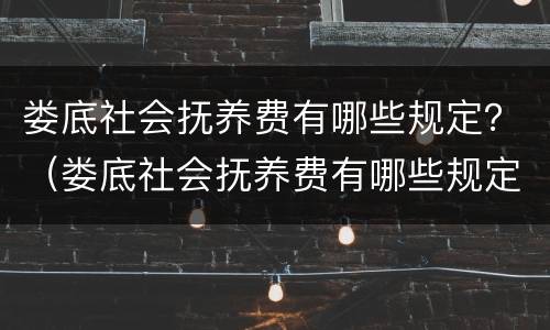 娄底社会抚养费有哪些规定？（娄底社会抚养费有哪些规定标准）