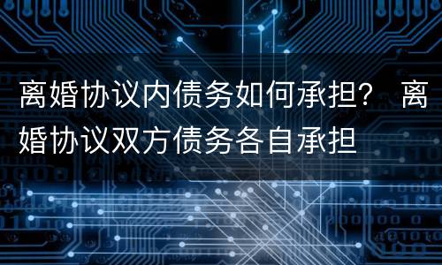 离婚协议内债务如何承担？ 离婚协议双方债务各自承担