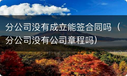 分公司没有成立能签合同吗（分公司没有公司章程吗）