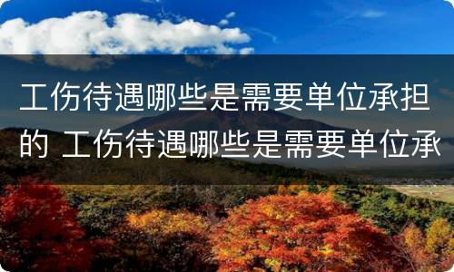 工伤待遇哪些是需要单位承担的 工伤待遇哪些是需要单位承担的义务