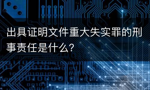 出具证明文件重大失实罪的刑事责任是什么？