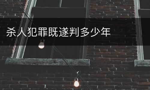 杀人犯罪既遂判多少年