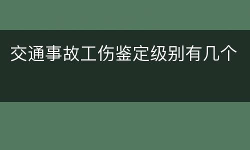 交通事故工伤鉴定级别有几个