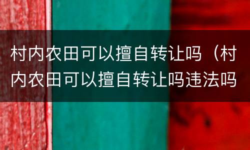 村内农田可以擅自转让吗（村内农田可以擅自转让吗违法吗）