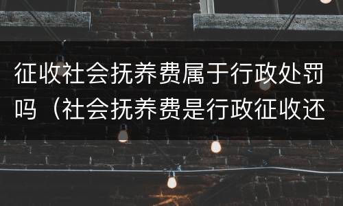 征收社会抚养费属于行政处罚吗（社会抚养费是行政征收还是行政处罚）