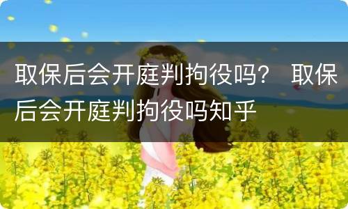 取保后会开庭判拘役吗？ 取保后会开庭判拘役吗知乎