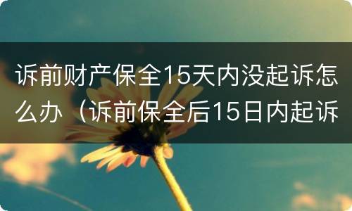 诉前财产保全15天内没起诉怎么办（诉前保全后15日内起诉）