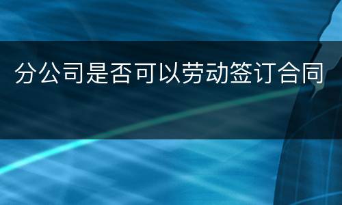 分公司是否可以劳动签订合同
