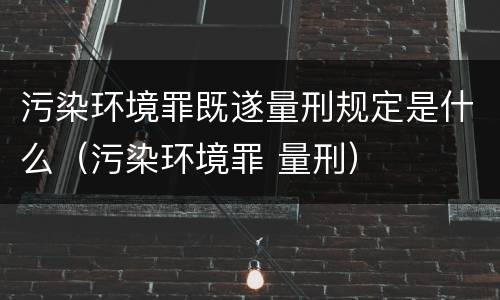 污染环境罪既遂量刑规定是什么（污染环境罪 量刑）