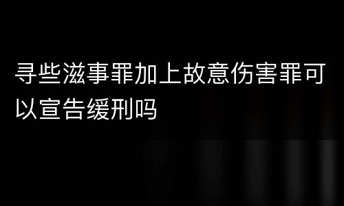 寻些滋事罪加上故意伤害罪可以宣告缓刑吗