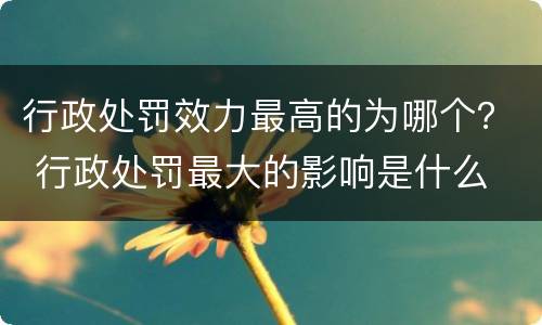 行政处罚效力最高的为哪个？ 行政处罚最大的影响是什么