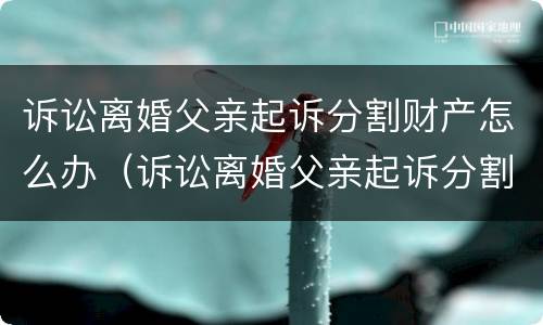 诉讼离婚父亲起诉分割财产怎么办（诉讼离婚父亲起诉分割财产怎么办手续）