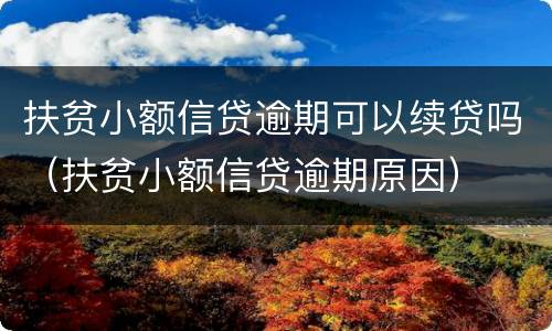 扶贫小额信贷逾期可以续贷吗（扶贫小额信贷逾期原因）