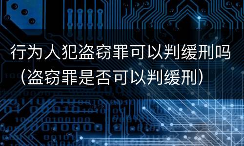 行为人犯盗窃罪可以判缓刑吗（盗窃罪是否可以判缓刑）