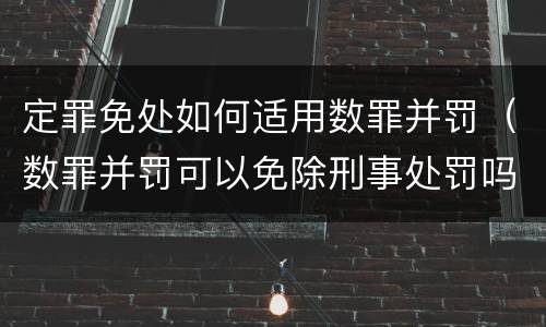 定罪免处如何适用数罪并罚（数罪并罚可以免除刑事处罚吗）
