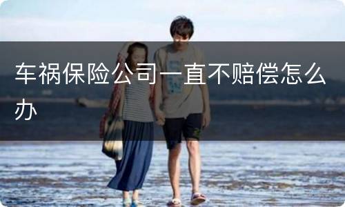 车祸保险公司一直不赔偿怎么办