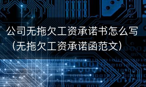 公司无拖欠工资承诺书怎么写（无拖欠工资承诺函范文）