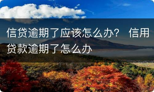 信贷逾期了应该怎么办？ 信用贷款逾期了怎么办