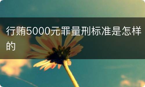 行贿5000元罪量刑标准是怎样的