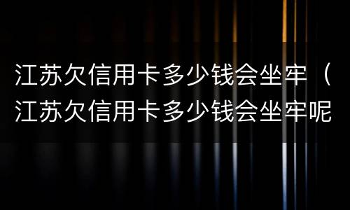 江苏欠信用卡多少钱会坐牢（江苏欠信用卡多少钱会坐牢呢）