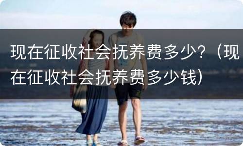 现在征收社会抚养费多少?（现在征收社会抚养费多少钱）