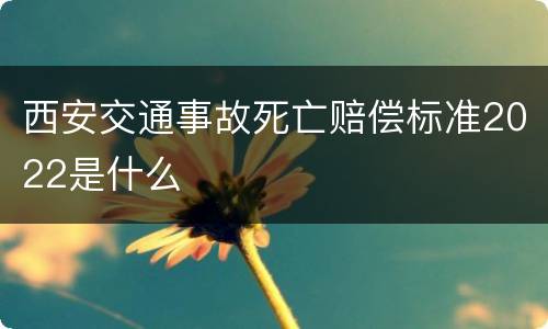 西安交通事故死亡赔偿标准2022是什么