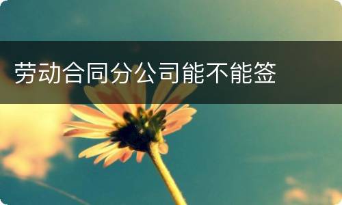 劳动合同分公司能不能签