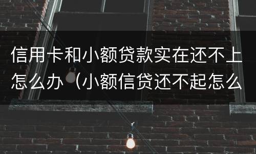 信用卡和小额贷款实在还不上怎么办（小额信贷还不起怎么办）