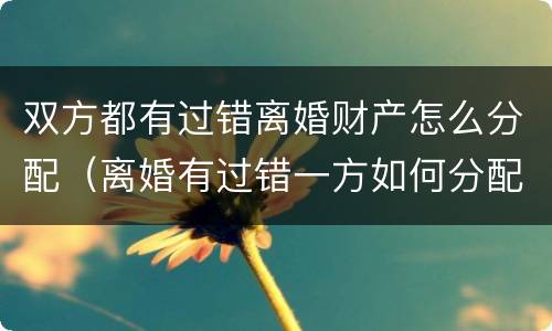 双方都有过错离婚财产怎么分配（离婚有过错一方如何分配财产）