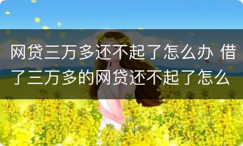 网贷三万多还不起了怎么办 借了三万多的网贷还不起了怎么办